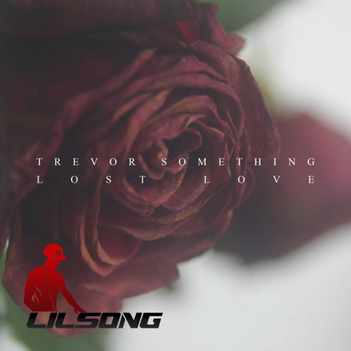 Trevor Something - Lost Love